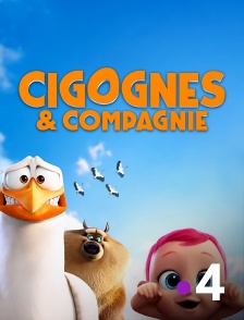 France 4 - Cigognes & Compagnie