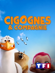 TF1 - Cigognes & Compagnie