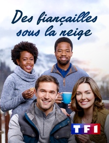 TF1 - Mariage parfait sous la neige