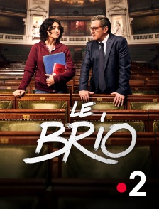 France 2 - Le brio