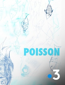 France 3 - Poisson