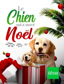 Téva - Le chien qui a sauvé Noël