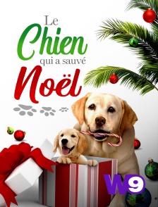 W9 - Le chien qui a sauvé Noël