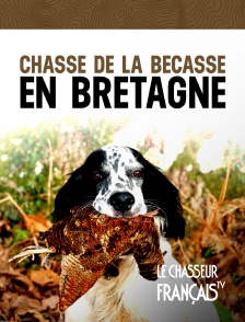 Le Chasseur Français - Au plus près de la Mordorée - Chasse de la Bécasse en Bretagne