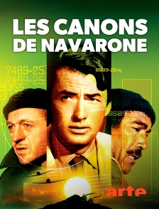 Arte - Les canons de Navarone