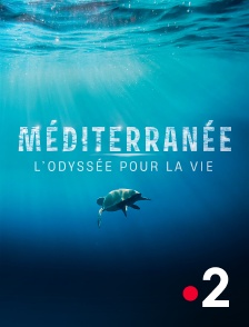 France 2 - Méditerranée, l'odyssée pour la vie