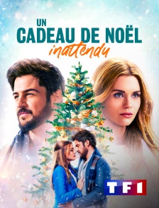 TF1 - Un cadeau de Noël inattendu