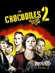 Molotov channels - Les Crocodiles 2