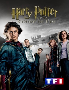 TF1 - Harry Potter et la Coupe de feu