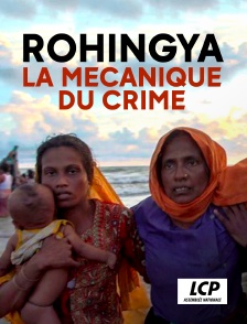 LCP 100% - Rohingya, la mécanique du crime