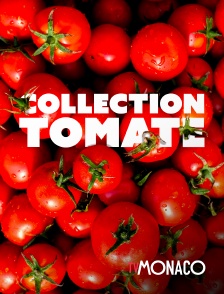 TV Monaco - Collection tomate