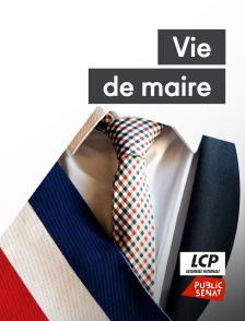 LCP Public Sénat - Vie de maire : Mon maire reconfiné