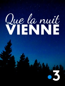 France 3 - Que la nuit vienne