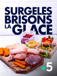 France 5 - Surgelés, brisons la glace