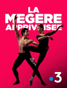 France 3 - La Mégère apprivoisée