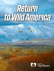 Love the Planet - Return to Wild America