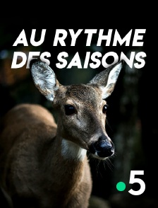 France 5 - Au rythme des saisons