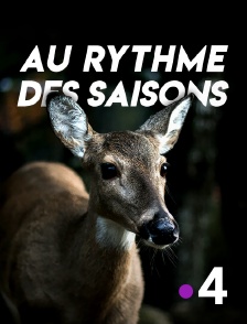 France 4 - Au rythme des saisons