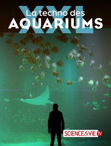 Science et Vie TV - La techno des aquariums XXL