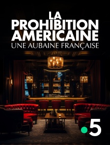 France 5 - La prohibition américaine, une aubaine française en replay