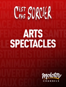 Molotov channels - C'est pas sorcier : Arts et Spectacles