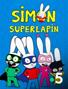 France 5 - Simon Superlapin