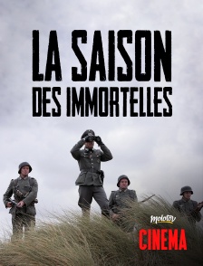 Molotov Channels Cinéma - La saison des immortelles