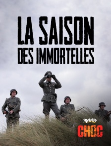 Molotov Channels CHOC - La saison des immortelles