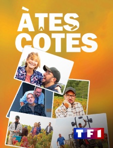 TF1 - A tes côtés