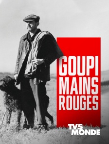 TV5MONDE - Goupi Mains Rouges