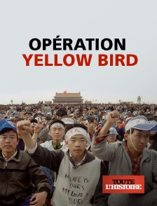 Toute l'Histoire - Opération Yellow Bird