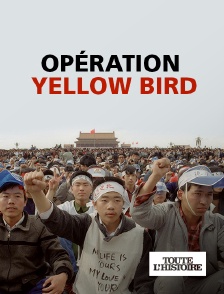 Toute l'Histoire - Opération Yellow Bird