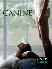 CINE+ Festival - Canine