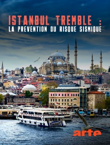 Arte - Istanbul tremble : La prévention du risque sismique