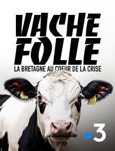 France 3 - Vache folle, la Bretagne au coeur de la crise