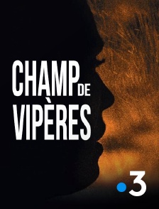 France 3 - Champ de vipères