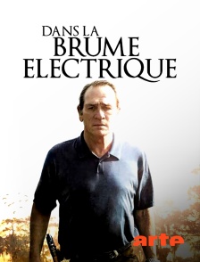 Arte - Dans la brume électrique