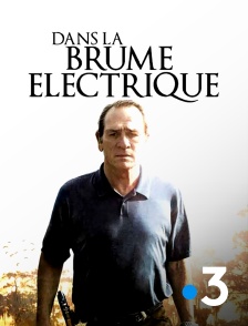 France 3 - Dans la brume électrique