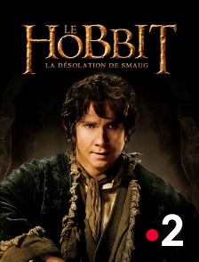 France 2 - Le Hobbit : la désolation de Smaug