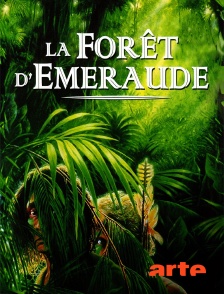 Arte - La forêt d'émeraude