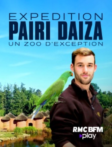 RMC BFM Play - Expédition Pairi Daiza : un zoo d'exception en replay