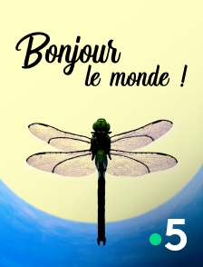 France 5 - Bonjour le monde !