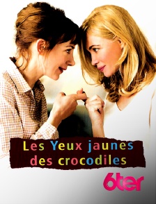 6ter - Les yeux jaunes des crocodiles