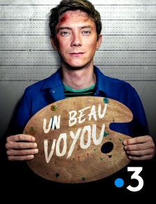 France 3 - Un beau voyou