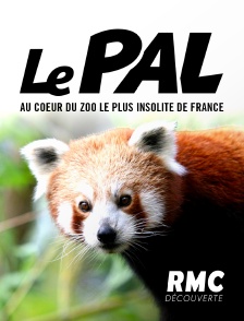 RMC Découverte - Le Pal : au coeur du zoo le plus insolite de France