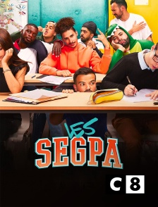 C8 - Les SEGPA