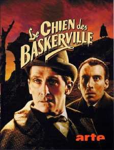 Arte - Le chien des Baskerville