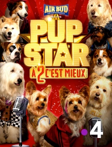 France 4 - Pup Star : A 2 c'est mieux