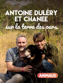 Animaux - Antoine Duléry et Chanee sur la terre des ours