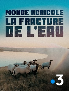 France 3 - Monde agricole : la fracture de l'eau en replay